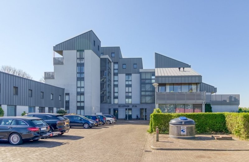 Lopinge 53 cadzand 1