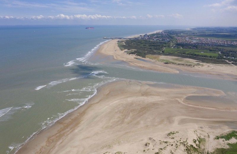 Natuurgebied het zwin 43