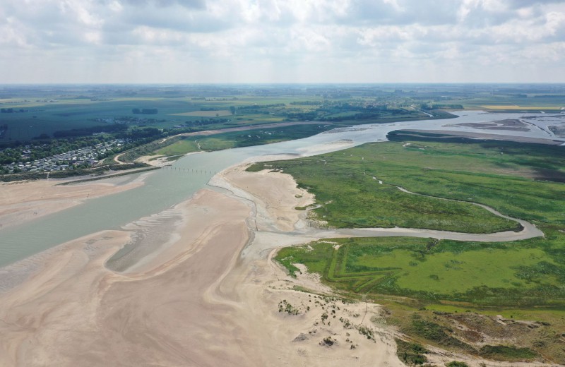 Natuurgebied het zwin 59