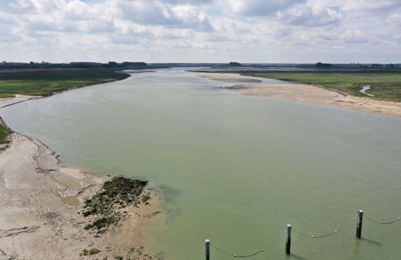 Natuurgebied het zwin 67