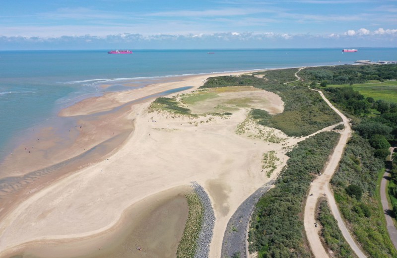 Natuurgebied het zwin 71