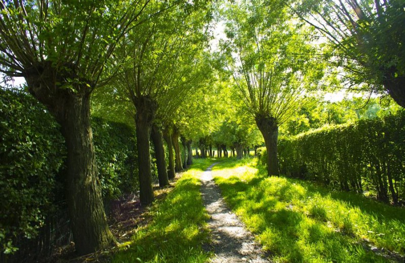 Oostkerke 05 5daf020c1755a