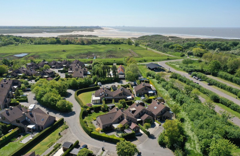 Zomerdorp het zwin 4